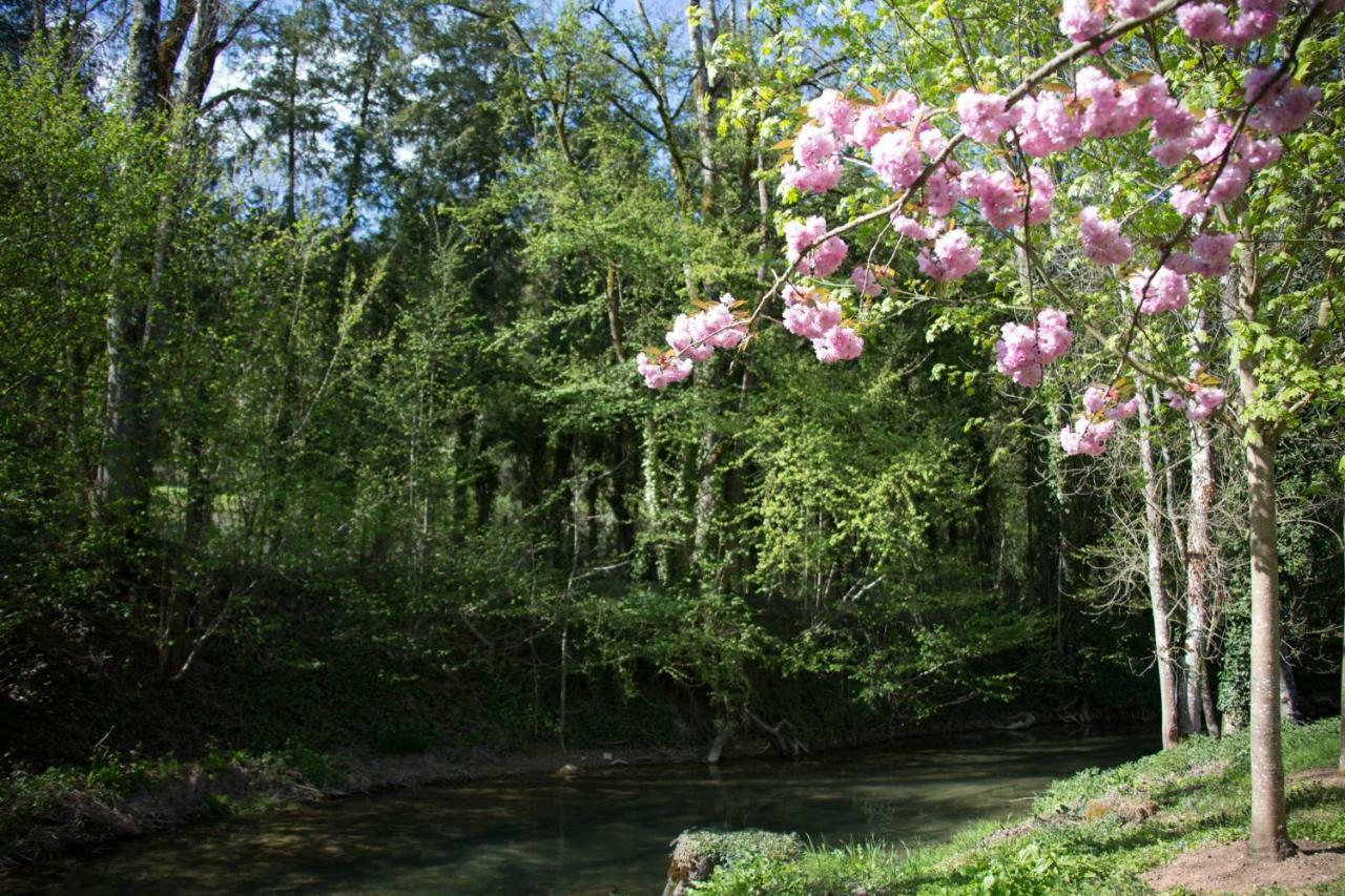Gite Moulin De La Serree Nuits-Saint-Georges Luaran gambar